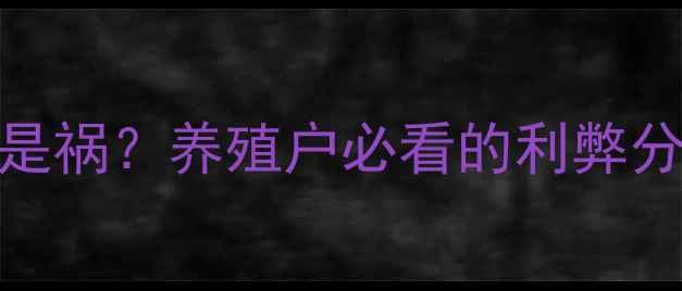 图片 高铜饲料喂牛是福是祸？养殖户必看的利弊分析及科学替代方案