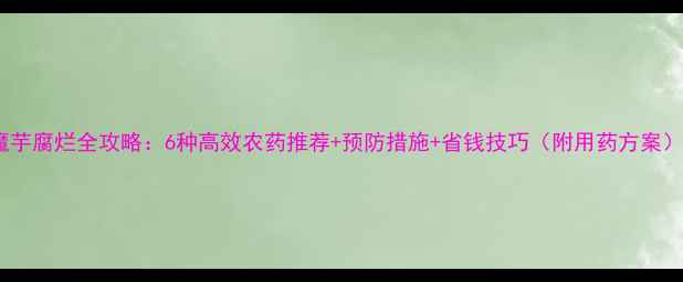 图片 魔芋腐烂全攻略：6种高效农药推荐+预防措施+省钱技巧（附用药方案）2