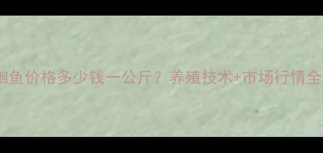 图片 鮰鱼价格多少钱一公斤？养殖技术+市场行情全2