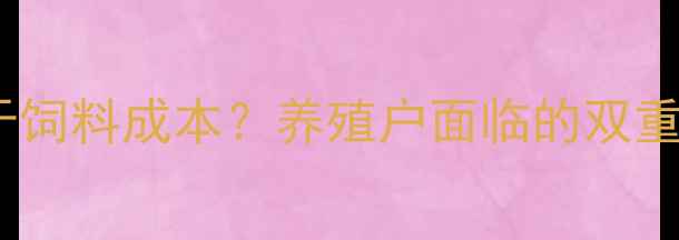 图片 鸡蛋价格为何低于饲料成本？养殖户面临的双重困境与破局之道1