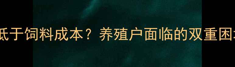图片 鸡蛋价格为何低于饲料成本？养殖户面临的双重困境与破局之道2