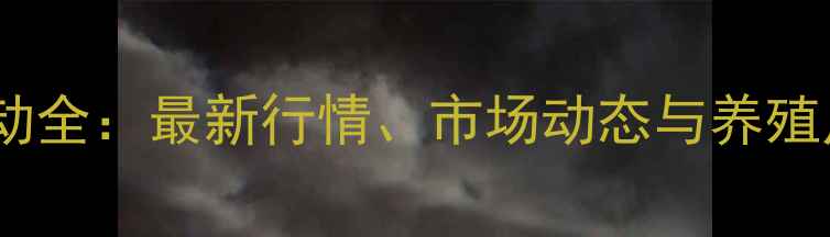 图片 鸡蛋价格波动全：最新行情、市场动态与养殖户应对策略1