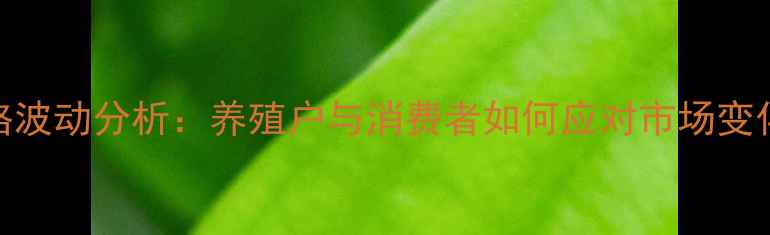 图片 鸡蛋价格波动分析：养殖户与消费者如何应对市场变化？🥚💰