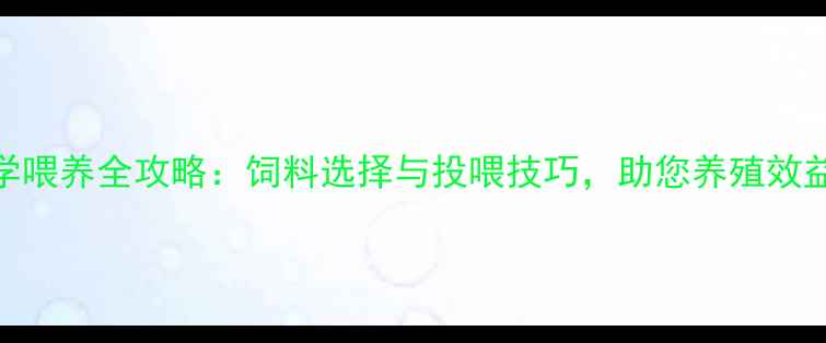 图片 鸡雏科学喂养全攻略：饲料选择与投喂技巧，助您养殖效益倍增！