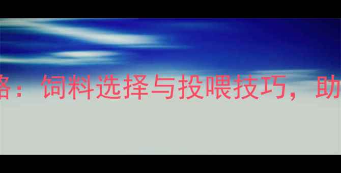 图片 鸡雏科学喂养全攻略：饲料选择与投喂技巧，助您养殖效益倍增！2