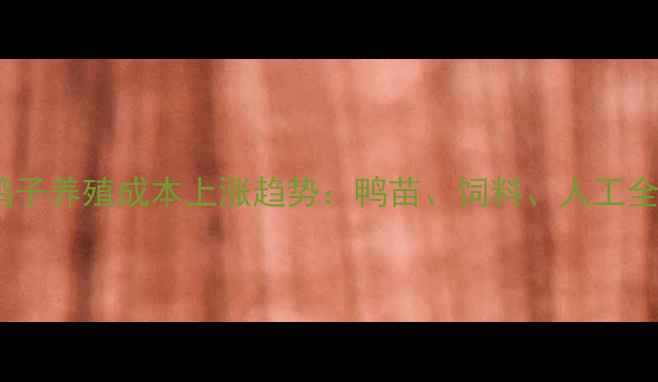 图片 鸭子养殖成本上涨趋势：鸭苗、饲料、人工全1