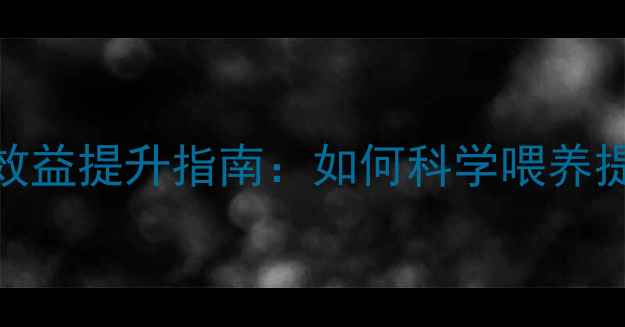 图片 鸭饲料科学配方与养殖效益提升指南：如何科学喂养提高产蛋率与经济效益？