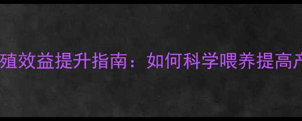 图片 鸭饲料科学配方与养殖效益提升指南：如何科学喂养提高产蛋率与经济效益？1
