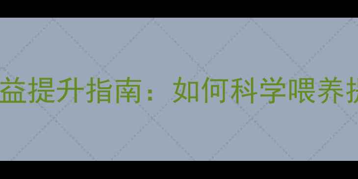图片 鸭饲料科学配方与养殖效益提升指南：如何科学喂养提高产蛋率与经济效益？2