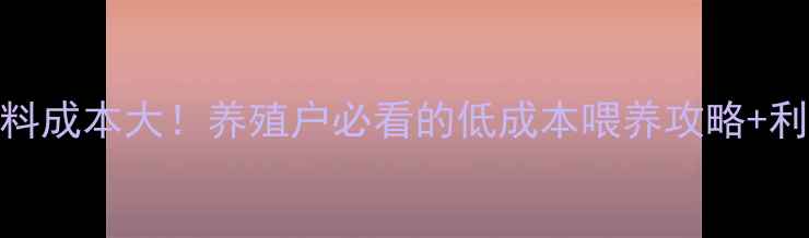 图片 鸽子饲料成本大！养殖户必看的低成本喂养攻略+利润分析