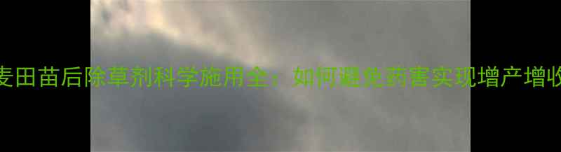 图片 麦田苗后除草剂科学施用全：如何避免药害实现增产增收