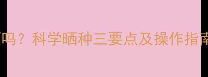 图片 麦种拌过农药用晒吗？科学晒种三要点及操作指南（附常见误区）1