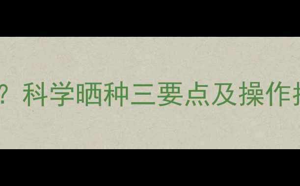 图片 麦种拌过农药用晒吗？科学晒种三要点及操作指南（附常见误区）2