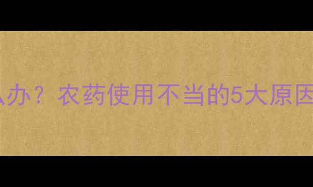 图片 黄瓜老叶发黄怎么办？农药使用不当的5大原因与科学防治方案1