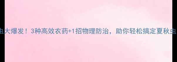 图片 黄虫大爆发！3种高效农药+1招物理防治，助你轻松搞定夏秋虫害2