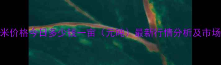 图片 黑龙江玉米价格今日多少钱一亩（元吨）最新行情分析及市场趋势解读