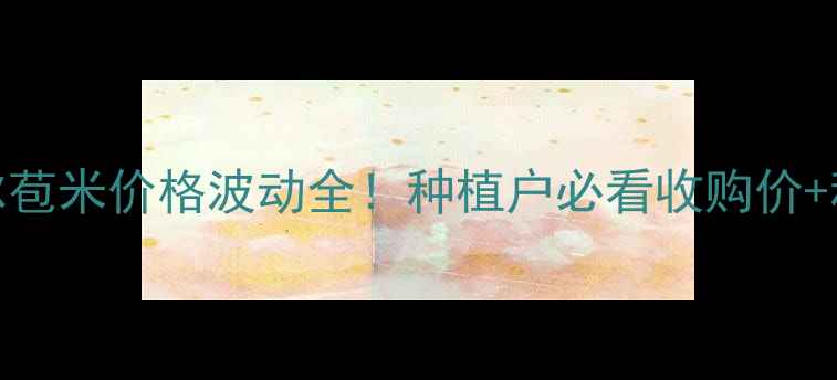 图片 齐齐哈尔苞米价格波动全！种植户必看收购价+种植建议