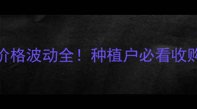 图片 齐齐哈尔苞米价格波动全！种植户必看收购价+种植建议2