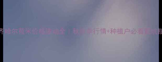 图片 齐齐哈尔苞米价格波动全｜秋收季行情+种植户必看避坑指南