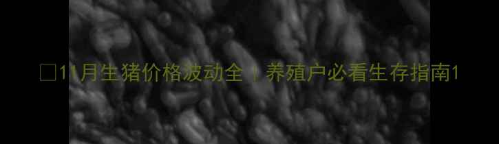 图片 🌟11月生猪价格波动全｜养殖户必看生存指南1