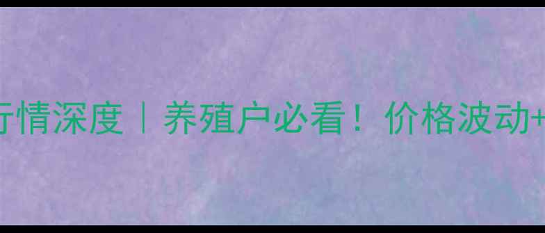 图片 🌟8月3日毛鸡价格行情深度｜养殖户必看！价格波动+未来趋势全公开🐔2