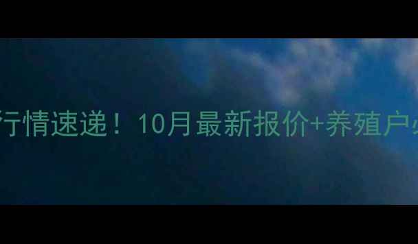 图片 🌟全国肉鸡价格行情速递！10月最新报价+养殖户必看避坑指南🐔1