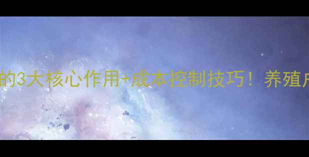 图片 🌟奶牛饲料添加剂的3大核心作用+成本控制技巧！养殖户必看养殖干货🌟2