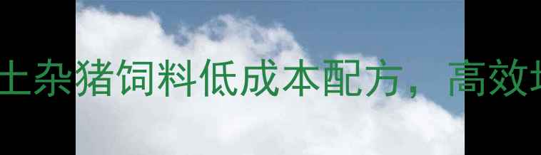 图片 🌟家庭养殖必看！土杂猪饲料低成本配方，高效增重秘方大公开🌟1