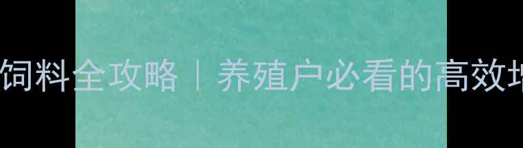图片 🌟山东鲍鱼饲料全攻略｜养殖户必看的高效增重秘籍💡1