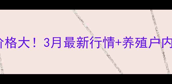 图片 🌟山东鸡蛋价格大！3月最新行情+养殖户内部指南🥚💰1
