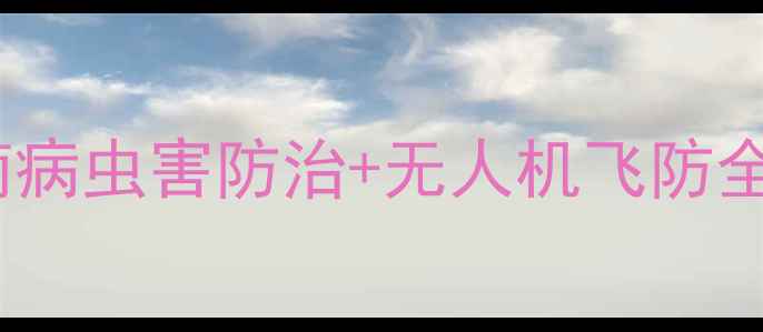 图片 🌟必看！农药培训会实战指南病虫害防治+无人机飞防全攻略｜零差评技术升级！🌟1