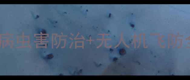 图片 🌟必看！农药培训会实战指南病虫害防治+无人机飞防全攻略｜零差评技术升级！🌟2