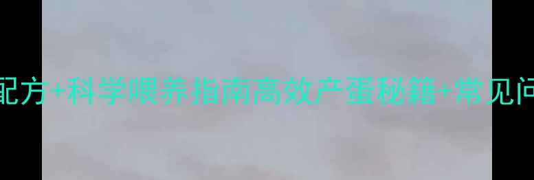 图片 🌟新手必看！蛋鸡饲料配方+科学喂养指南高效产蛋秘籍+常见问题解答！养鸡户速存！