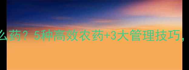 图片 🌟杨梅幼果期用什么药？5种高效农药+3大管理技巧，助你稳产增收！🌟