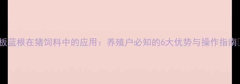 图片 🌟板蓝根在猪饲料中的应用：养殖户必知的6大优势与操作指南🌟2