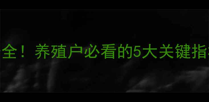 图片 🌟毛鸡价格走势全！养殖户必看的5大关键指标+趋势预测🐔1