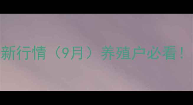 图片 🌟江西省毛猪价格最新行情（9月）养殖户必看！猪价涨跌趋势分析🌟