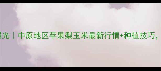 图片 🌟河南大台农价格大曝光｜中原地区苹果梨玉米最新行情+种植技巧，附赠选果指南！🍎🌾1