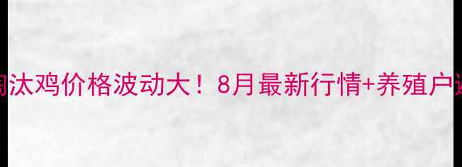 图片 🌟洛阳淘汰鸡价格波动大！8月最新行情+养殖户避坑指南