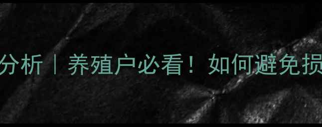 图片 🌟淘汰蛋鸡苗价格全国行情分析｜养殖户必看！如何避免损失？政策解读+操作指南💡1