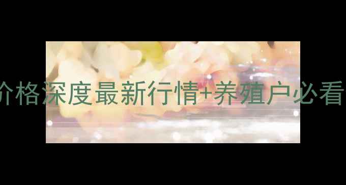 图片 🌟淮北豆粕价格深度最新行情+养殖户必看避坑指南💰2