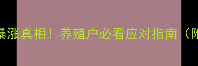 图片 🌟猪饲料价格暴涨真相！养殖户必看应对指南（附最新行情表）