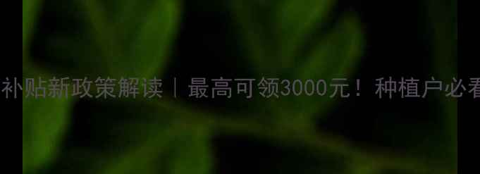图片 🌟甘肃葡萄农药补贴新政策解读｜最高可领3000元！种植户必看干货全公开💰1