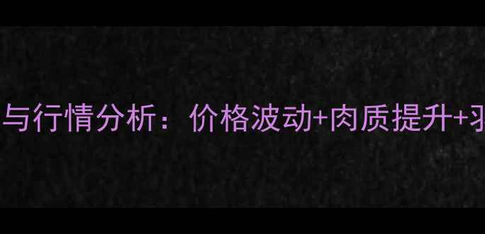 图片 🌟白羽鸡养殖成本与行情分析：价格波动+肉质提升+羽毛回收全攻略🌟1