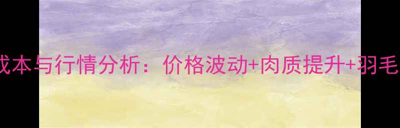 图片 🌟白羽鸡养殖成本与行情分析：价格波动+肉质提升+羽毛回收全攻略🌟2