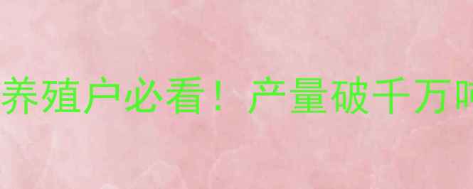 图片 🌟福建饲料产量全🌟养殖户必看！产量破千万吨背后的行业密码🔥1