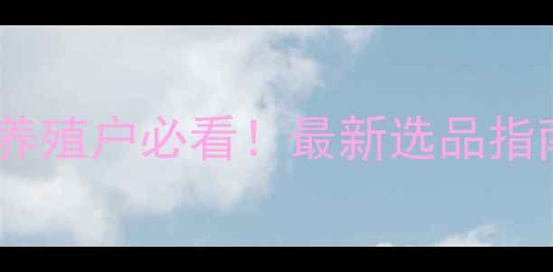 图片 🌟蛋白饲料是什么？养殖户必看！最新选品指南+营养配方大公开🐄