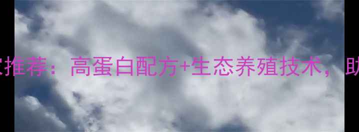 图片 🌟蛙类饲料厂家推荐：高蛋白配方+生态养殖技术，助力高效养殖🌟1