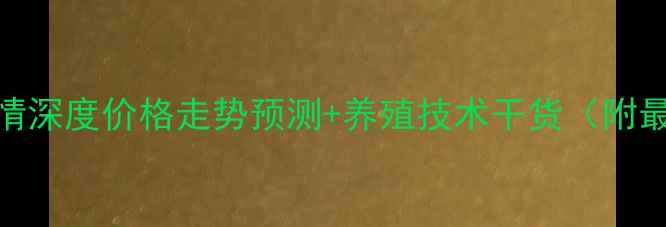 图片 🌟貂皮养殖行情深度价格走势预测+养殖技术干货（附最新市场数据）