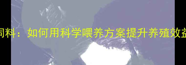 图片 🌟邢台新阳光饲料：如何用科学喂养方案提升养殖效益？最新技术💡